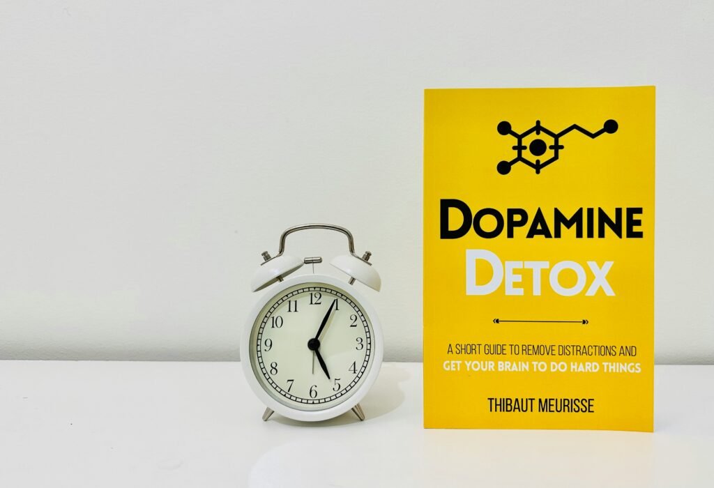 Dopamine detox : 1 simple guide Book